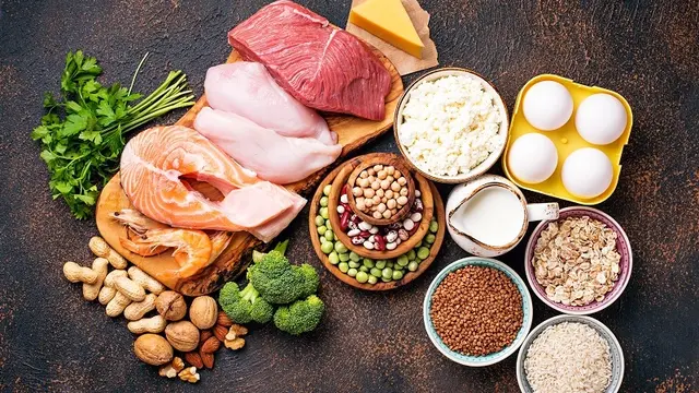 Makanan Protein